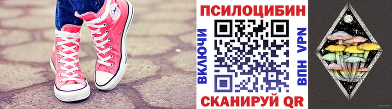 Псилоцибиновые грибы GOLDEN TEACHER  как найти закладки  маркетплейс формула  Котовск 
