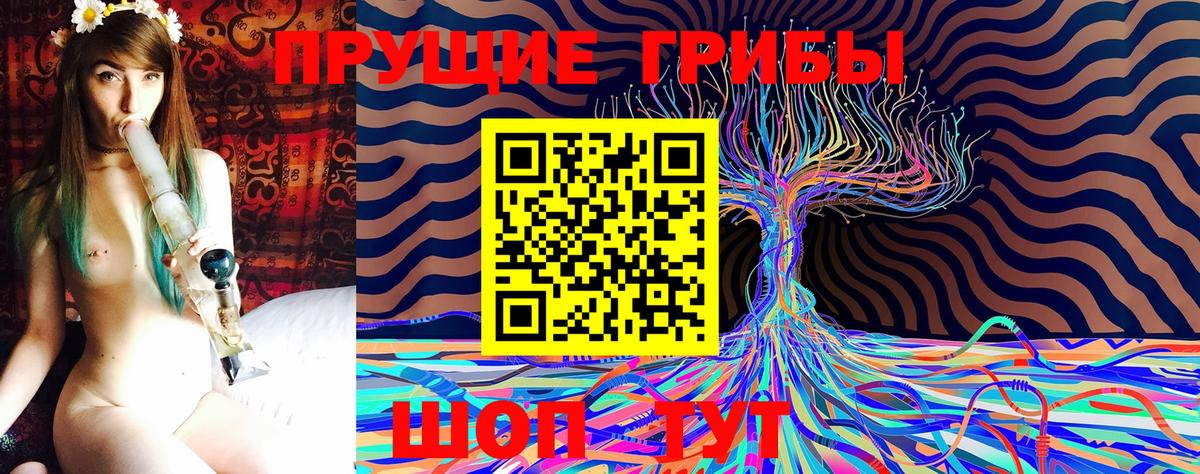 Галлюциногенные грибы Psilocybine cubensis Котовск