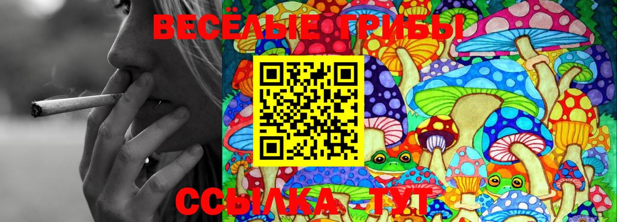 Галлюциногенные грибы мицелий  Галлюциногенные грибы Psilocybe  Котовск 