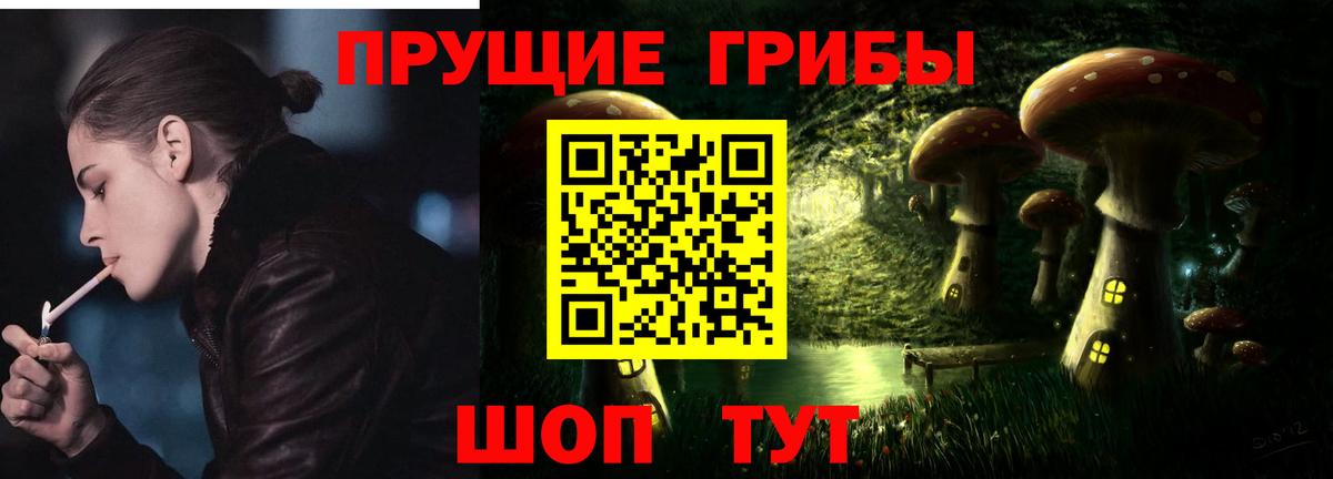 Котовск  Галлюциногенные грибы Magic Shrooms  Вход с VPN 